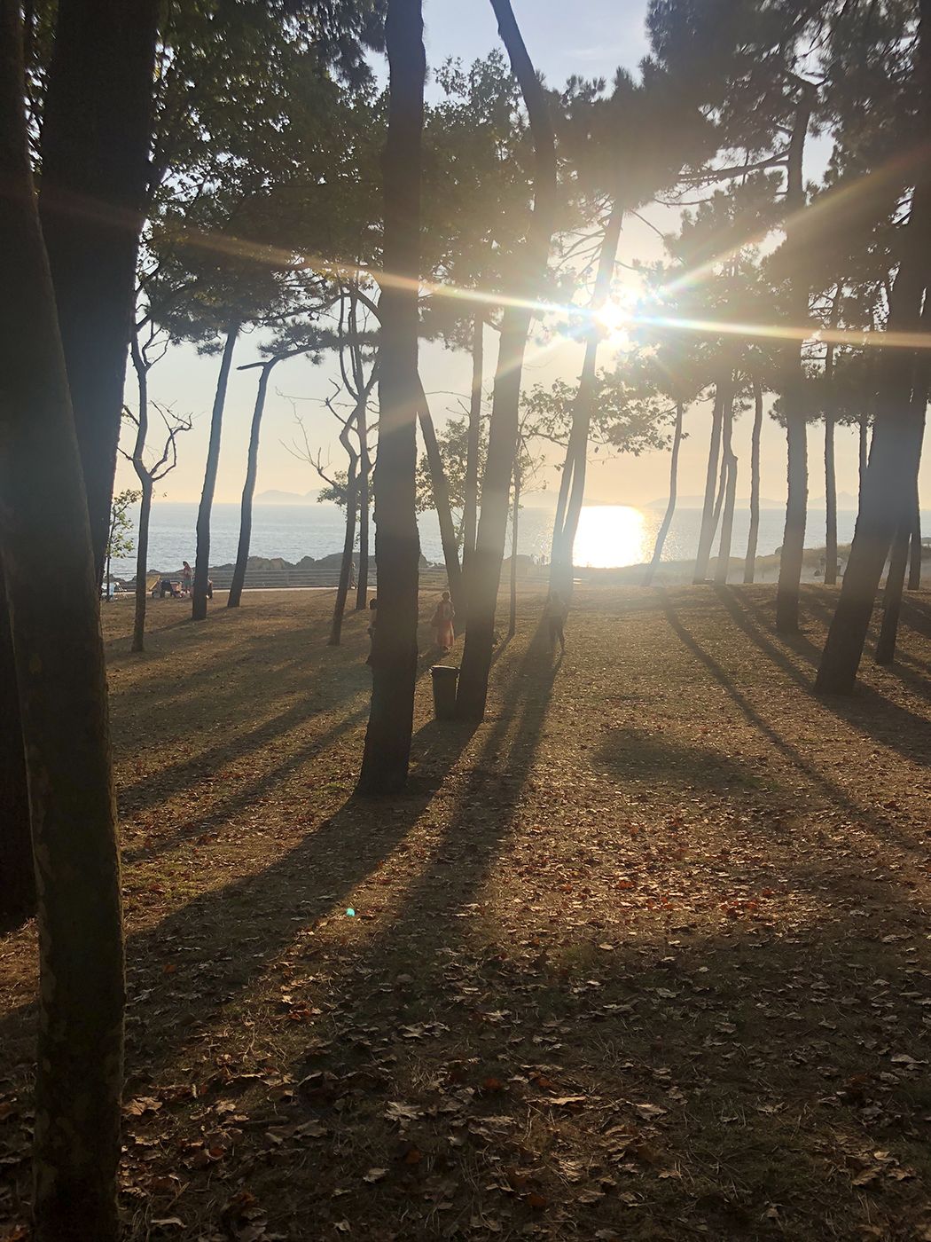 Final del día en Samil.JPG