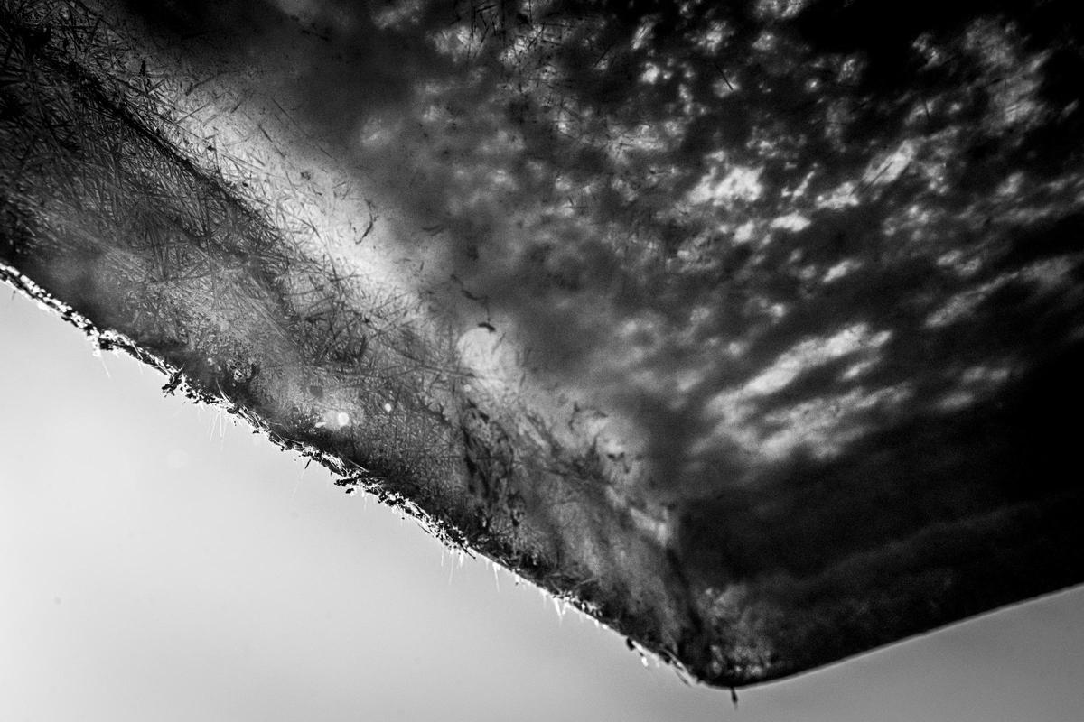 19.MM20240719-17.jpg