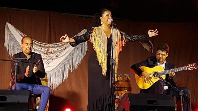 La cantaora Eva Rubichi durante un concierto de otra edición de la "Noche Flamenca"