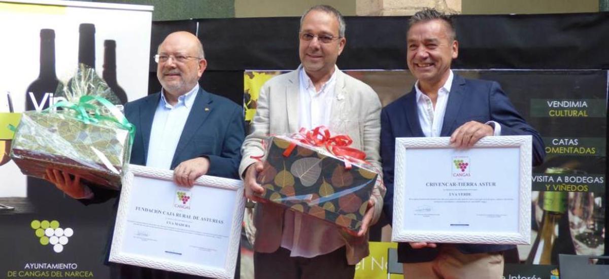 El vino de Cangas, cantidad y calidad