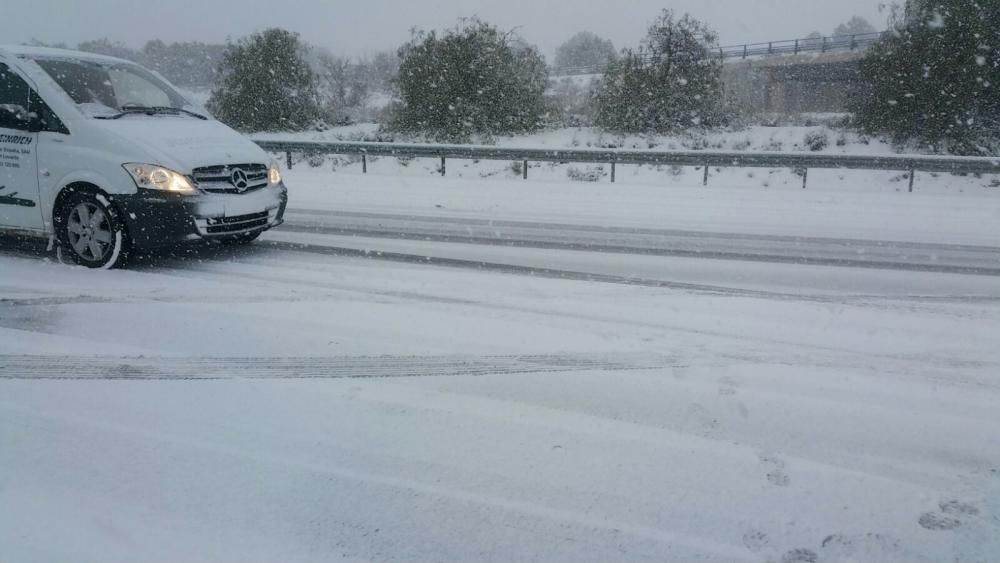 La nieve tiñe de blanco Murcia