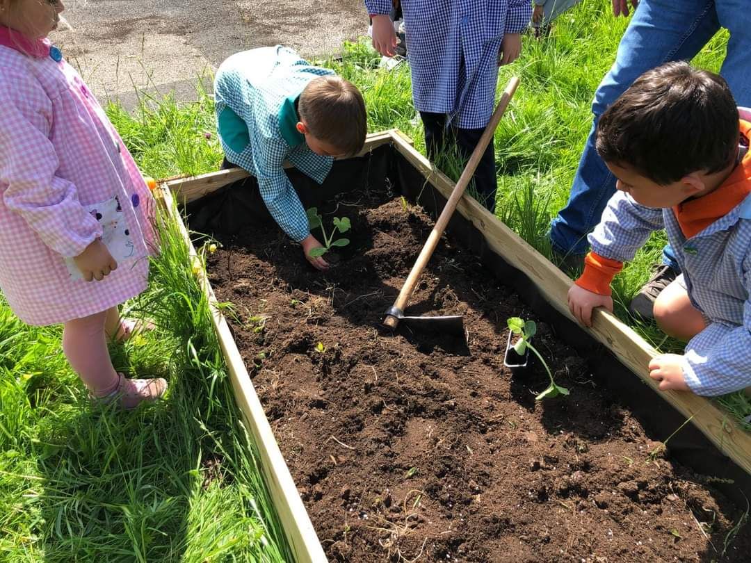 El Cotayo se vuelca con su cultivo ecológico: así trabajan los huertos en el colegio de Siero