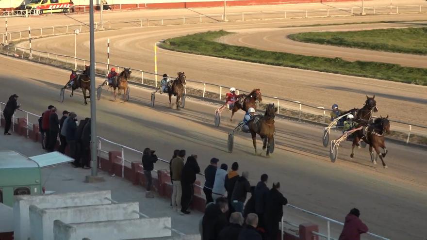 Entre Nous Trois rompe la racha triunfal de Banjo de Perthuis en Manacor