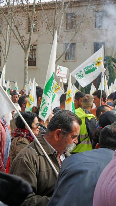 Así ha sido la manifestación de los agricultores