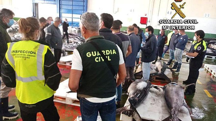 La Guardia Civil incauta las piezas de atún en O Berbés.