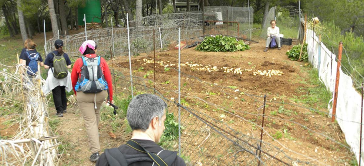 La Málaga rural se muere