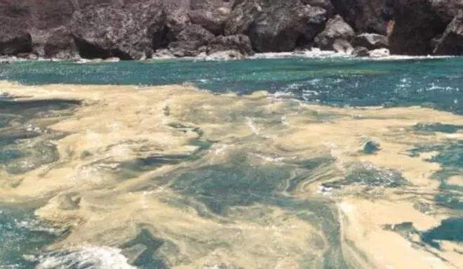 Regresan las microalgas al Barranco de Masca en Santiago del Teide