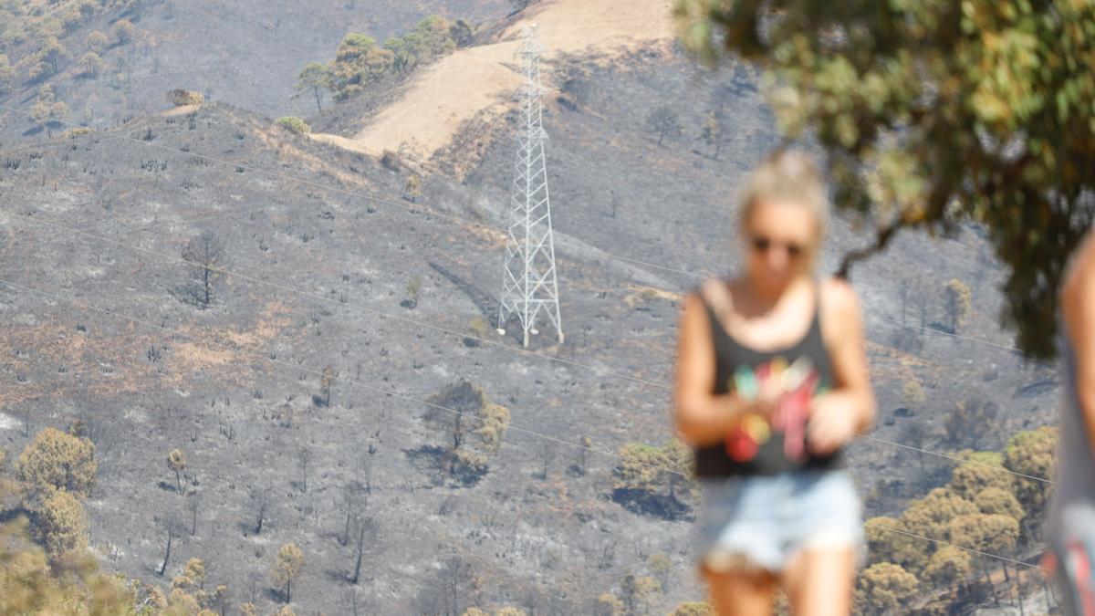 Tercera jornada de trabajos de extinción del incendio en Sierra Bermeja.