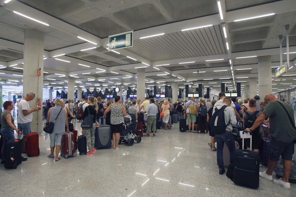 Zum Abschluss der Sommerferien in Spanien herrscht auf dem Flughafen von Mallorca Hochbetrieb: Zwischen Freitag (26.8.) und Montag (29.8.) werden insgesamt mehr als 600.000 ankommende und abfliegende Passagiere registriert.