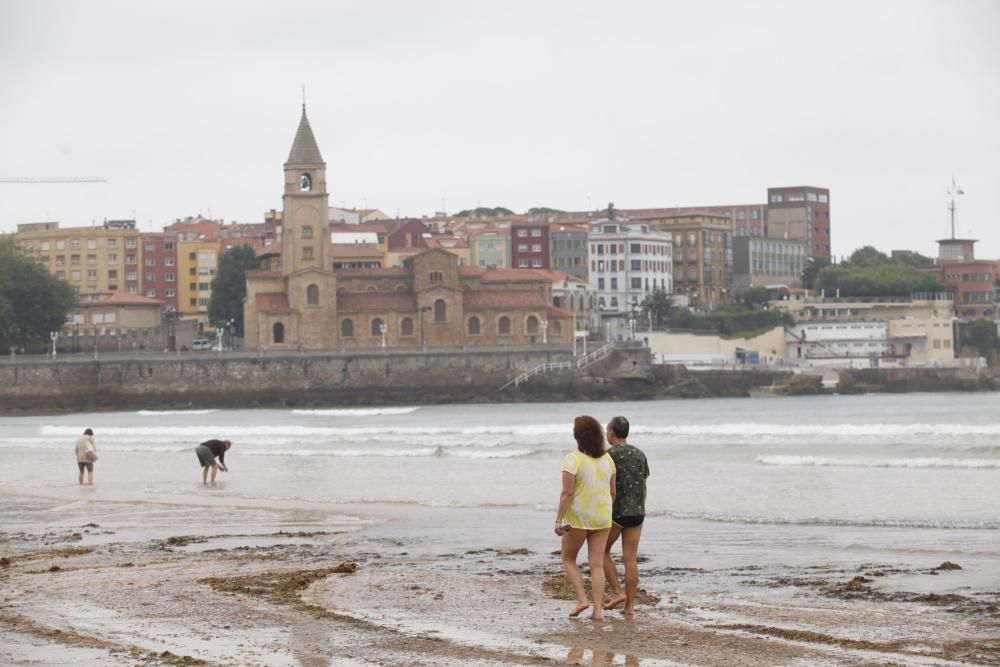 Recogida de ocle en la playa de San Lorenzo de Gijón