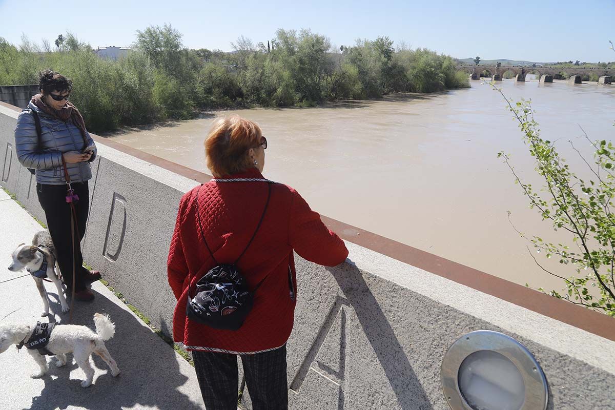 Los cordobeses se echan a la calle en la tregua de la lluvia