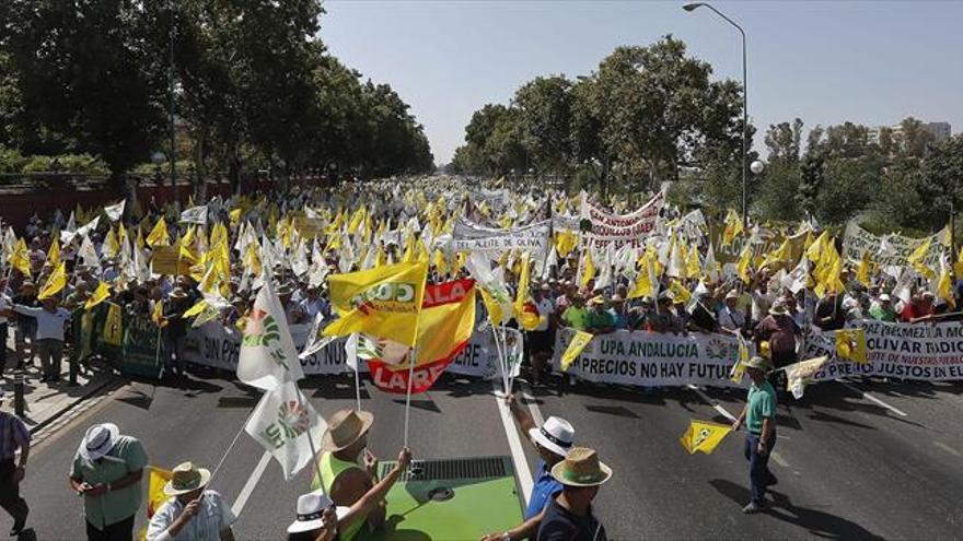 Las cooperativas defenderán en Bruselas la autorregulación del aceite