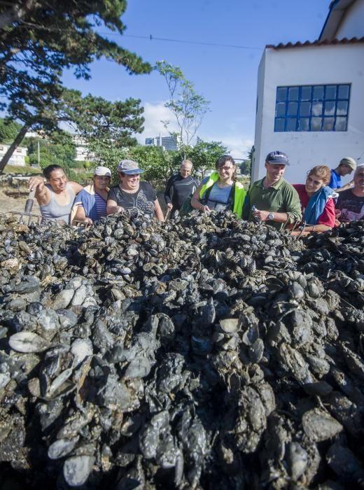 Mariscadores de O Burgo limpian parques privados