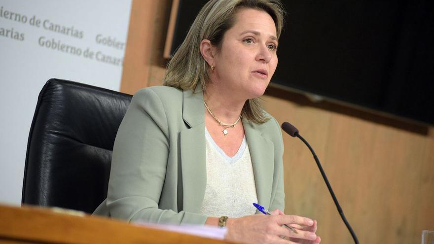 Alicia Vanoostende, ayer, en rueda de prensa en Presidencia del Gobierno en Santa Cruz de Tenerife. | | E.D.