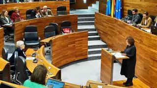 Tensión en la Junta por el atasco de la dependencia: la consejera acusa al PP de "retorcer y estrangular la realidad" y los populares le critican su "cara dura política"