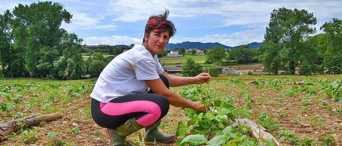 Celia Vallina en una de sus fincas de faba en Argüelles, en Siero, en una imagen de archivo.