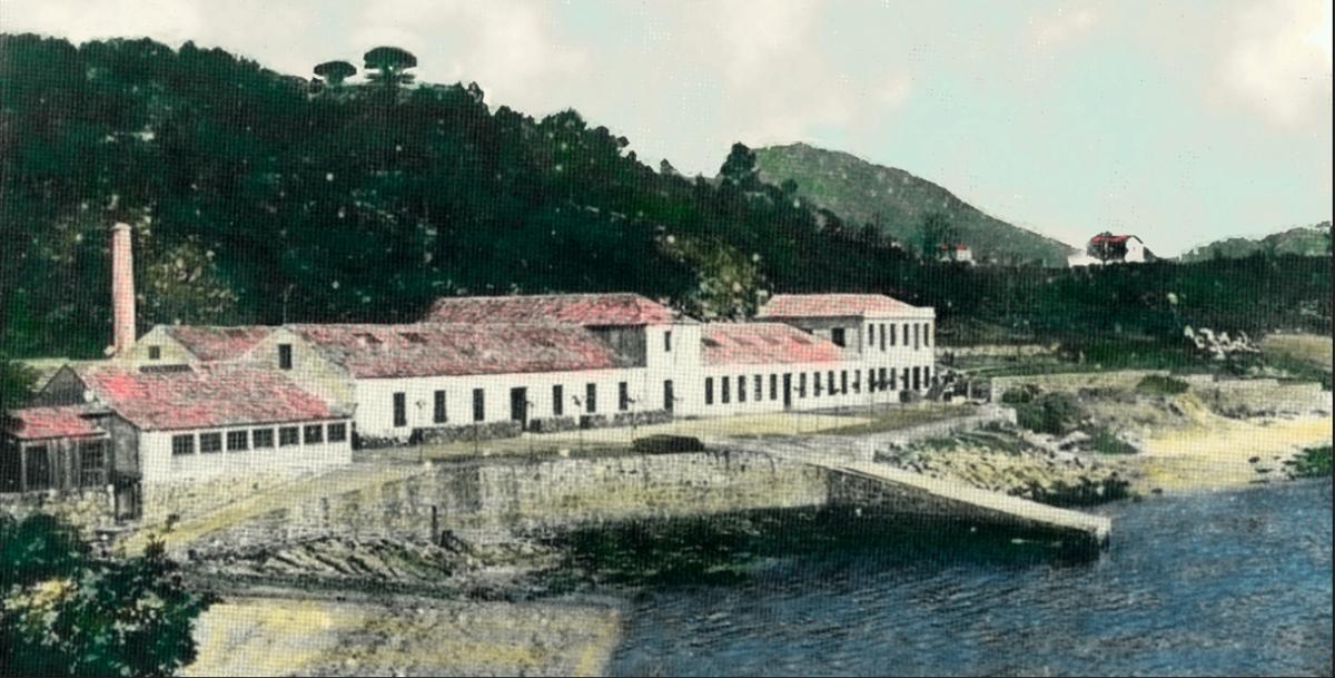 A fábrica de salazón de Paganini no ano 1911.
