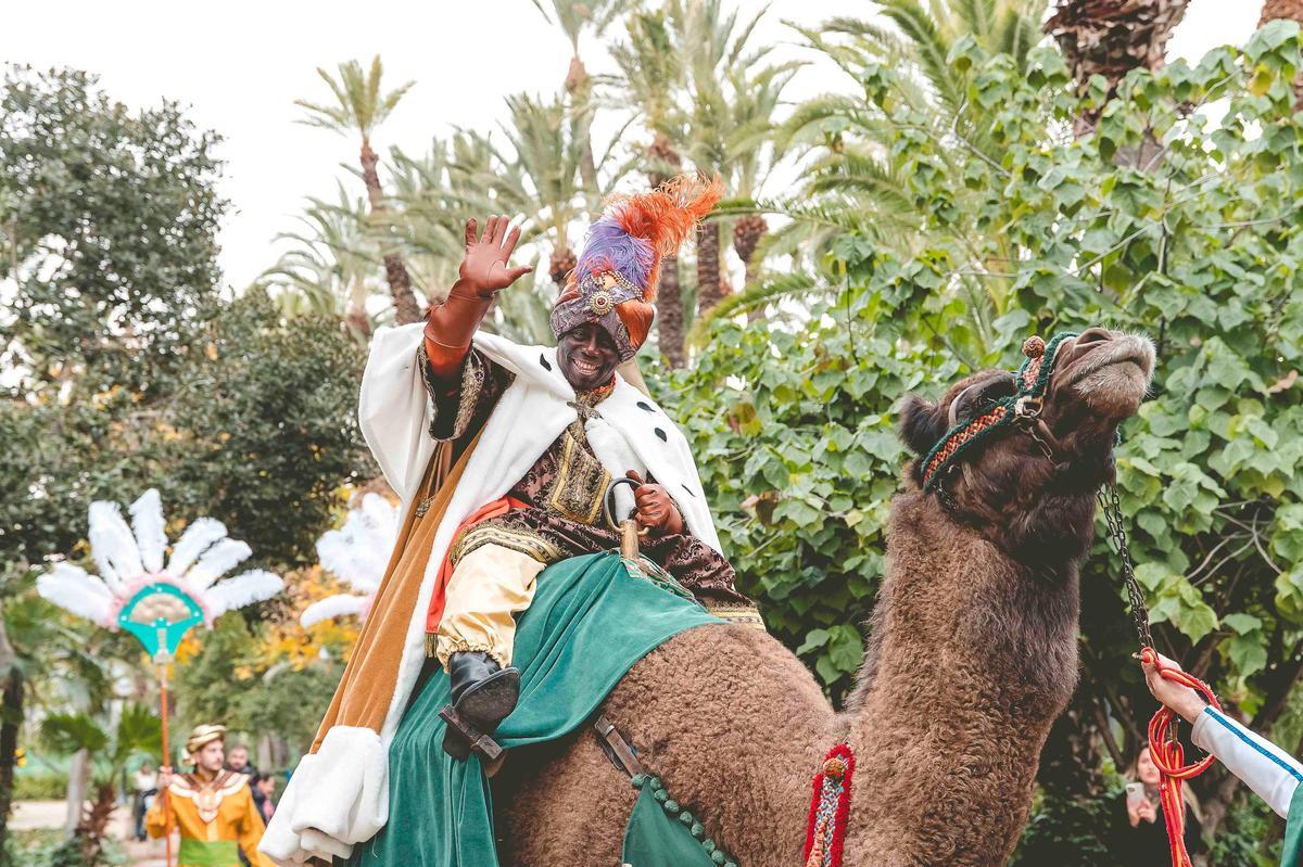 Los Reyes Magos llegan en dromedario a Elche