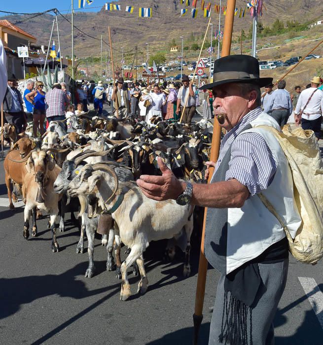 Romería de San Antonio el Chico