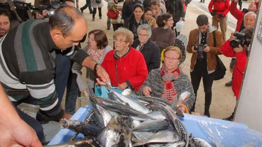 Entrega de jurel en la Alameda santiaguesa // X, ÁLVAREZ