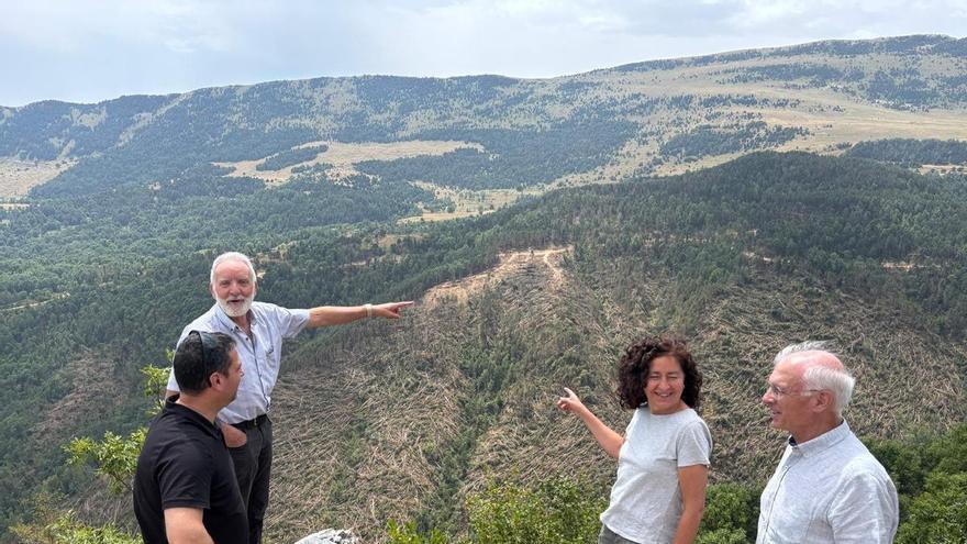 Els boscos afectats per les ventades al Ripollès gairebé tripliquen l’estimació inicial