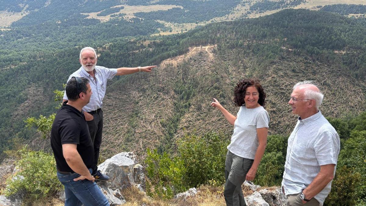 L'alcalde de Vilallonga de Ter, Pere Sau, assenyalant el Bac d'Abella, una de les zones més afectades per les ventades.
