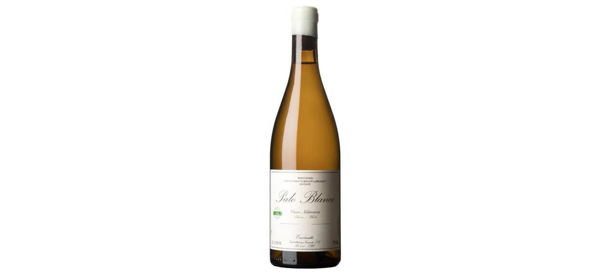 Palo Blanco 2024.