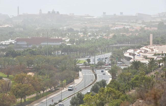 CALIMA MASPALOMAS