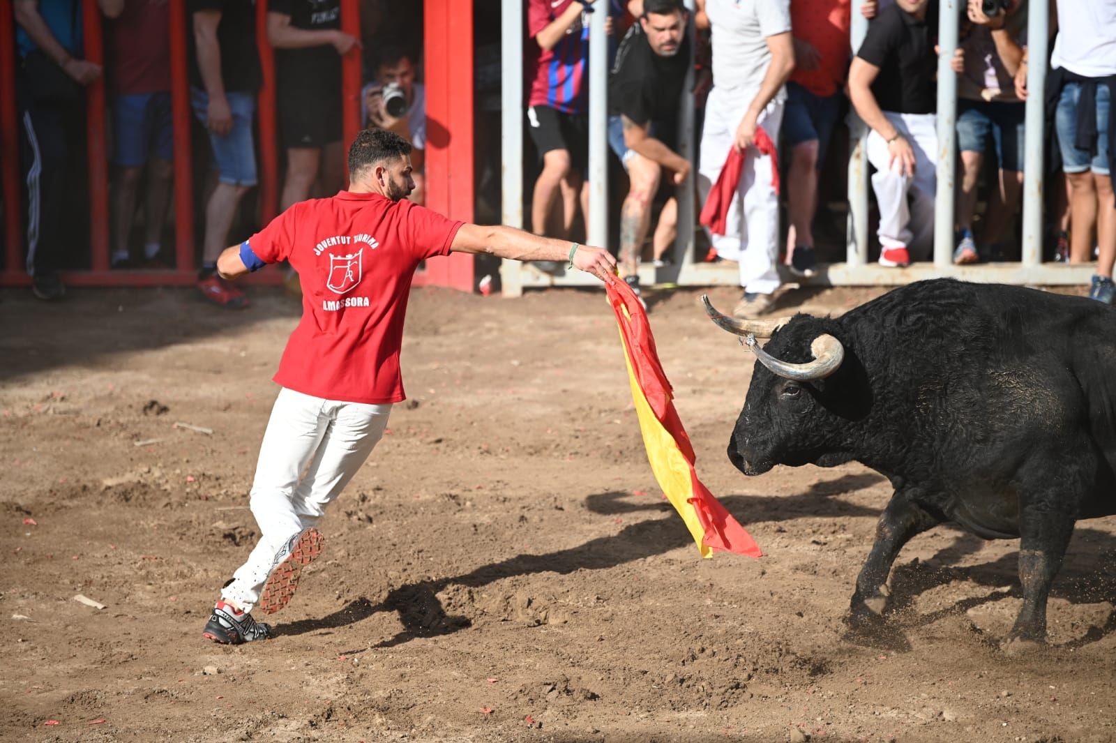 Lo mejor del lunes taurino de las fiestas de Almassora 2022