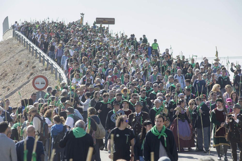 Magdalena 2019: Romeria de les canyes