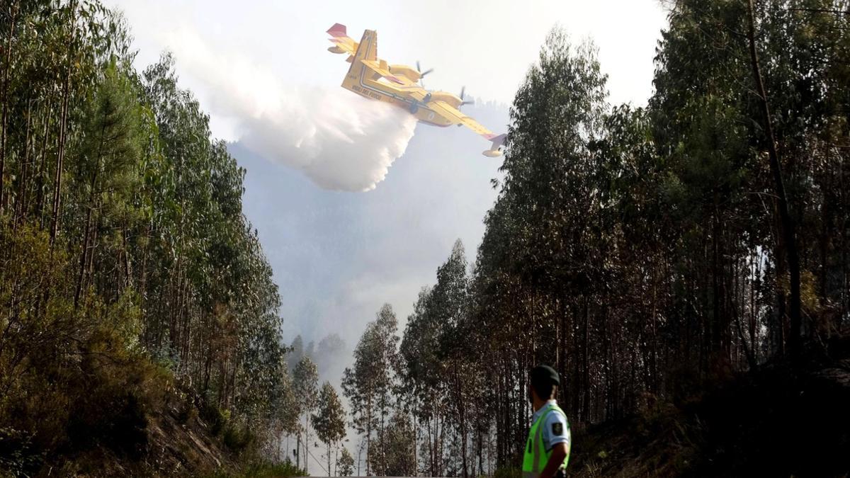 INCENDIO FORESTAL EN PORTUGAL