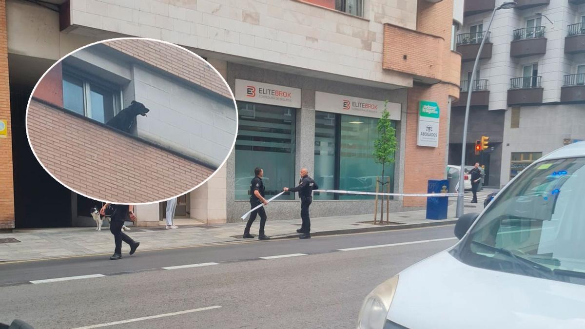 En el círculo, el perro en la ventana y en la otra imagen, la Policía Nacional acordonando la zona.