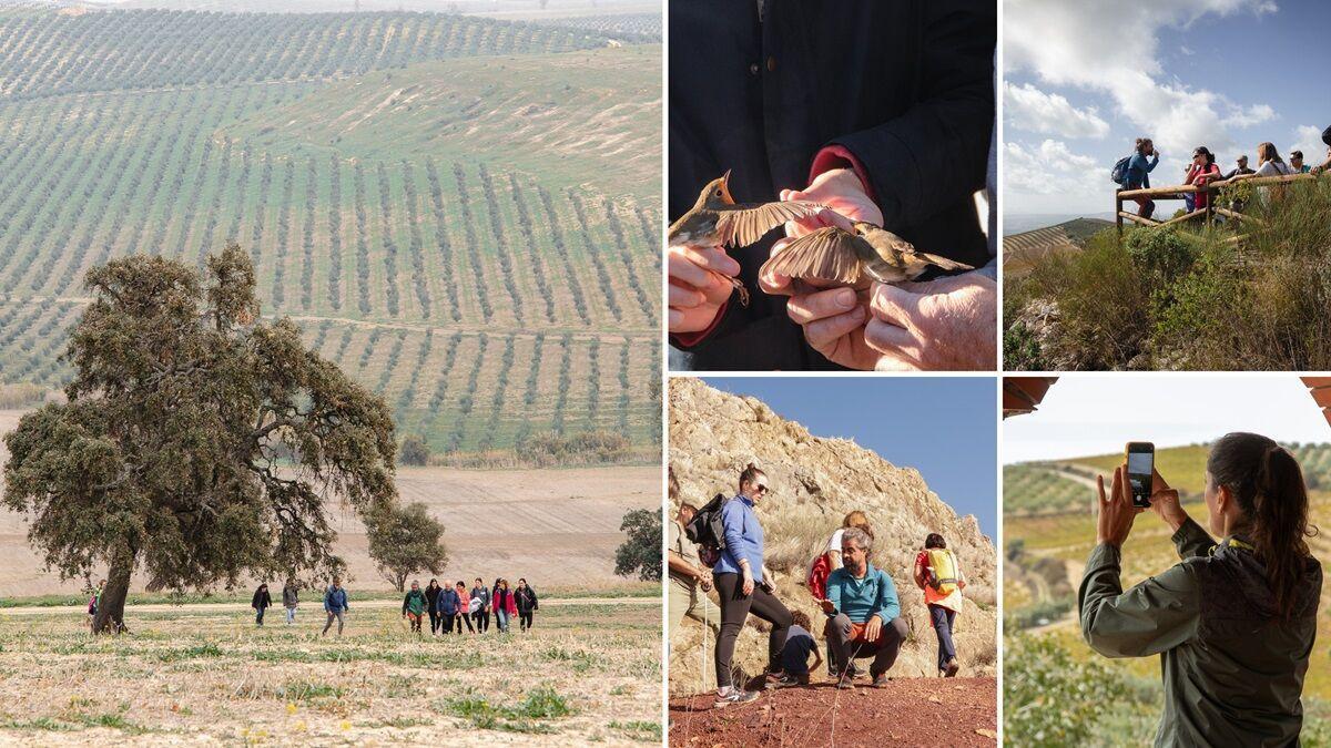 La Ruta del Vino Montilla-Moriles en Córdoba, premiada como Mejor Destino Enoturístico Sostenible entre 140 candidaturas de 29 rutas españolas