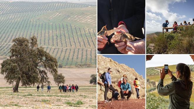 La Ruta del Vino Montilla-Moriles, premiada como Mejor Destino Enoturístico Sostenible