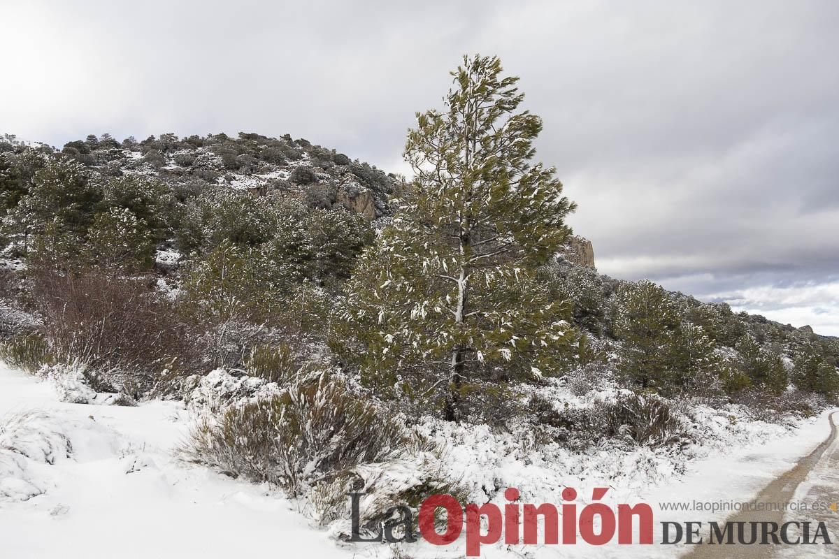 La borrasca Herminia tiñe de blanco la cima de la Región de Murcia