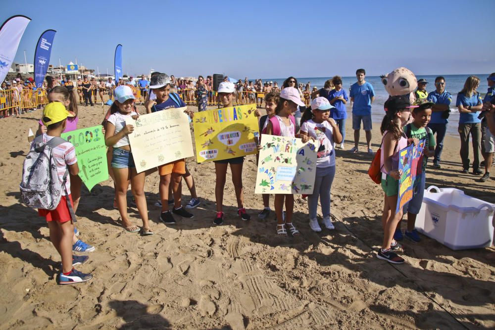 Ocenanogràfic, Acuario de Sevilla, y el Ayuntamiento de Torrevieja organizaron una suelta de 6 tortugas jóvenes procedente de un nido de las playas de Sueca (Valencia) con la participación de escolare