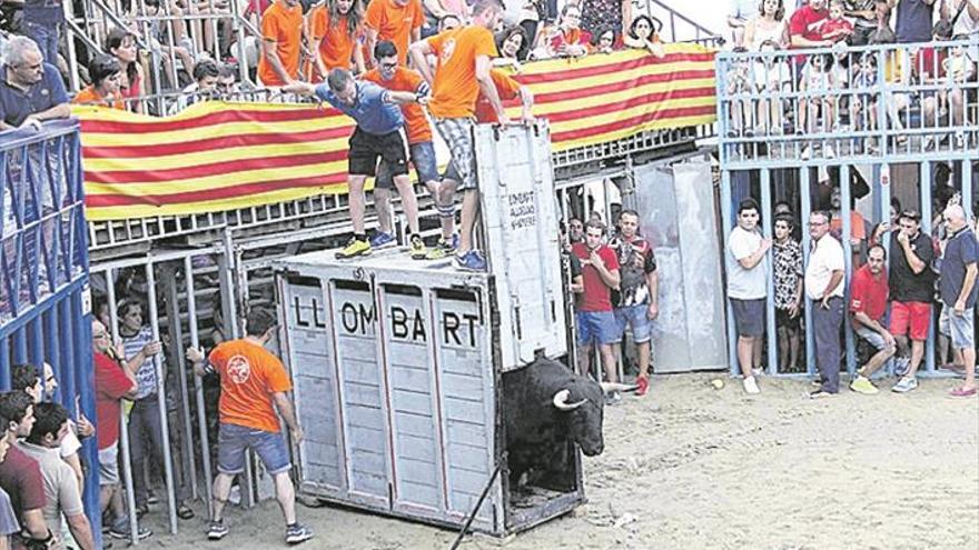 Los festejos taurinos suman al cartel un nuevo astado cerril