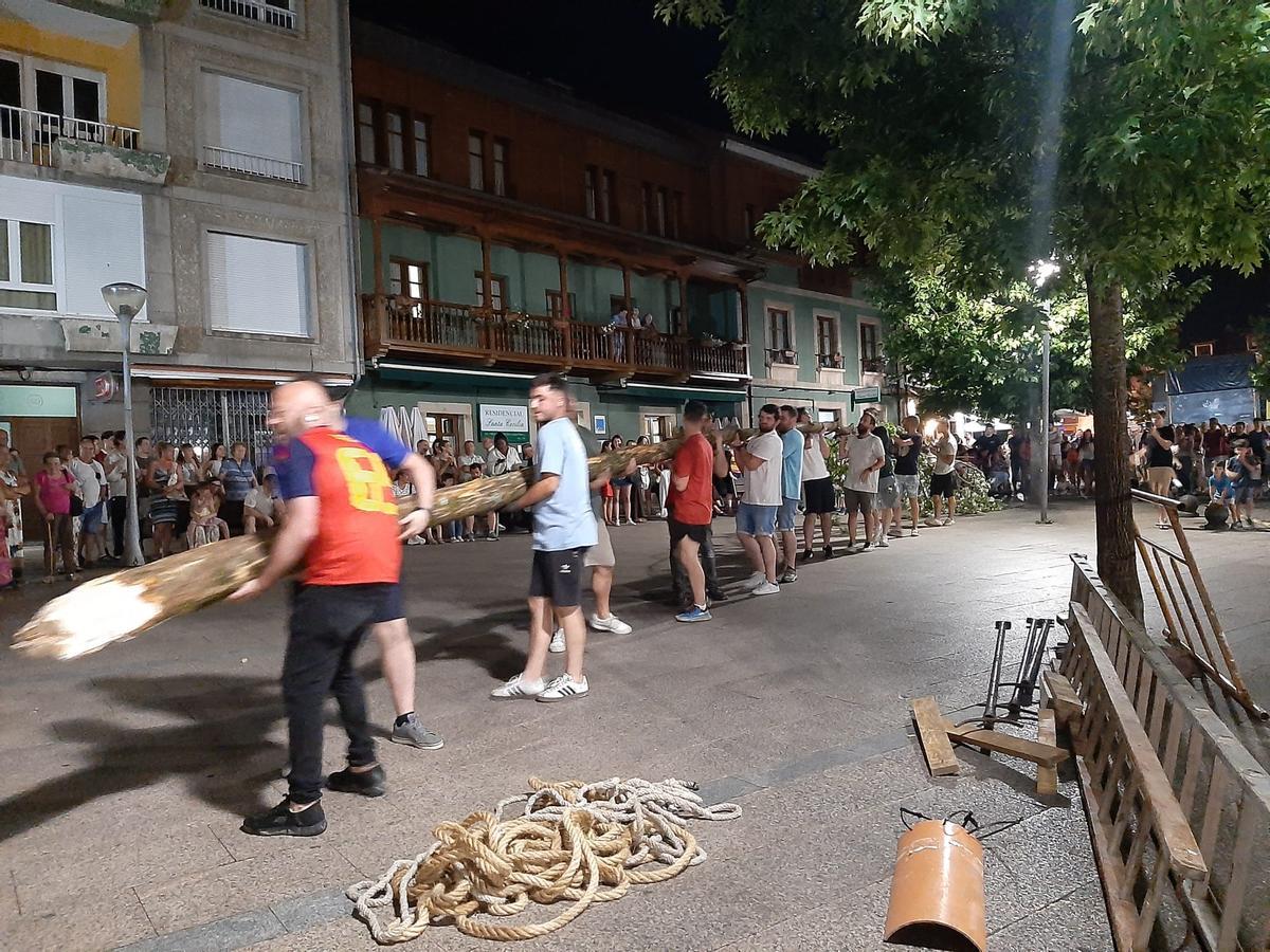 Los solteros plantan el álamo por San Juan en la Pola