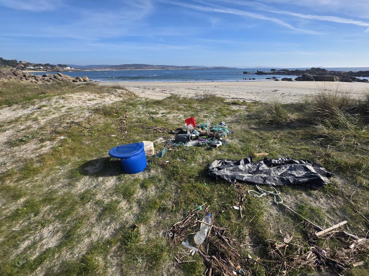 Residuos depositados fuera de la playa por voluntarios.