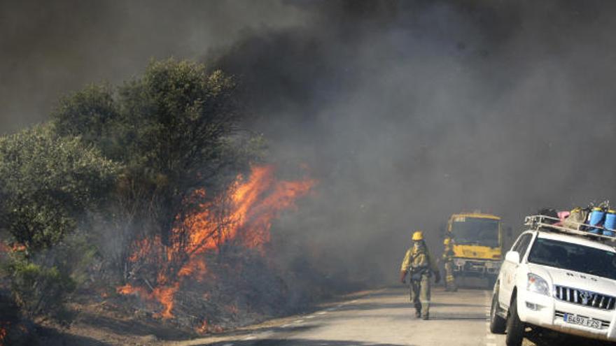 Efectivos terrestres trabajan en las labores de extinción de un incendio