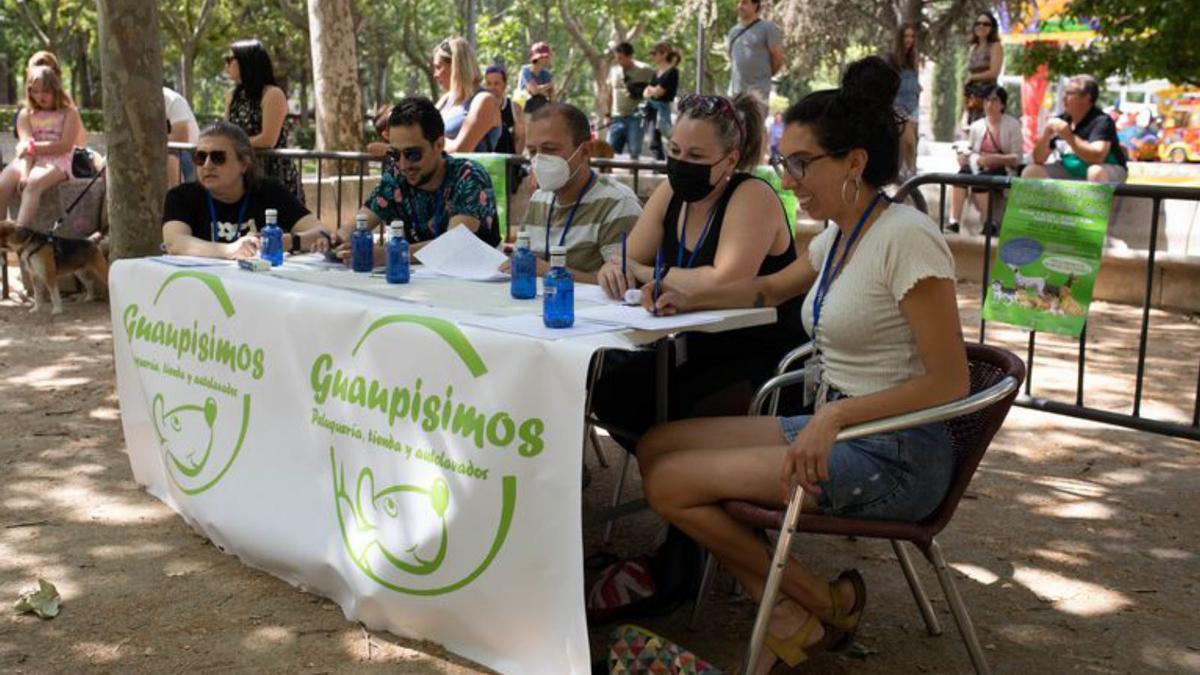 Los miembros del jurado del concurso de mascotas. | A. B.