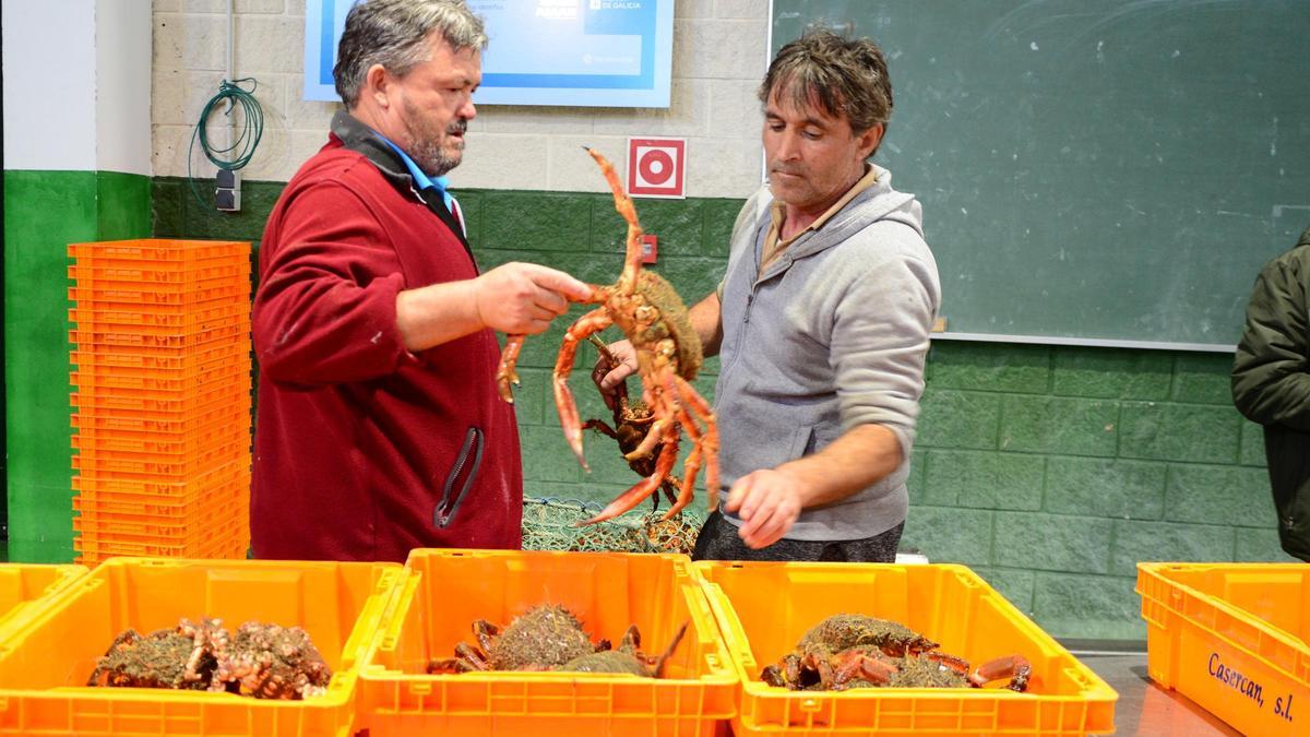 Dos marineros de Bueu en la apertura de la campaña de la centolla del año pasado.
