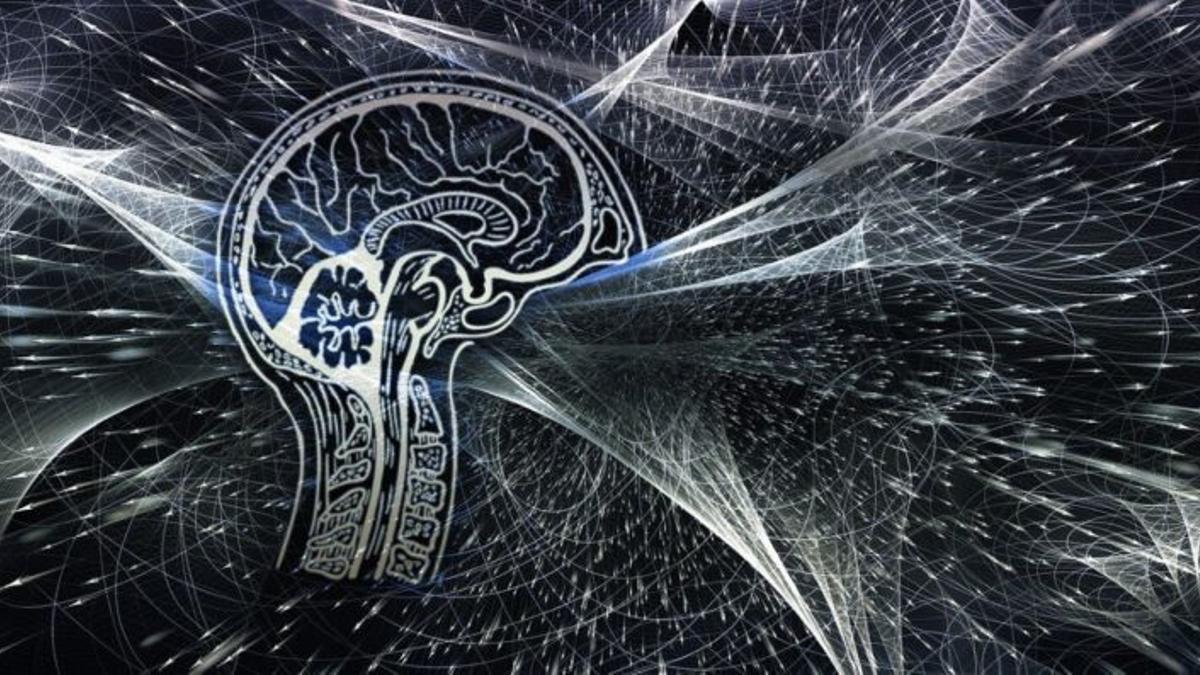 El primer cerebro cuántico está cada vez más cerca