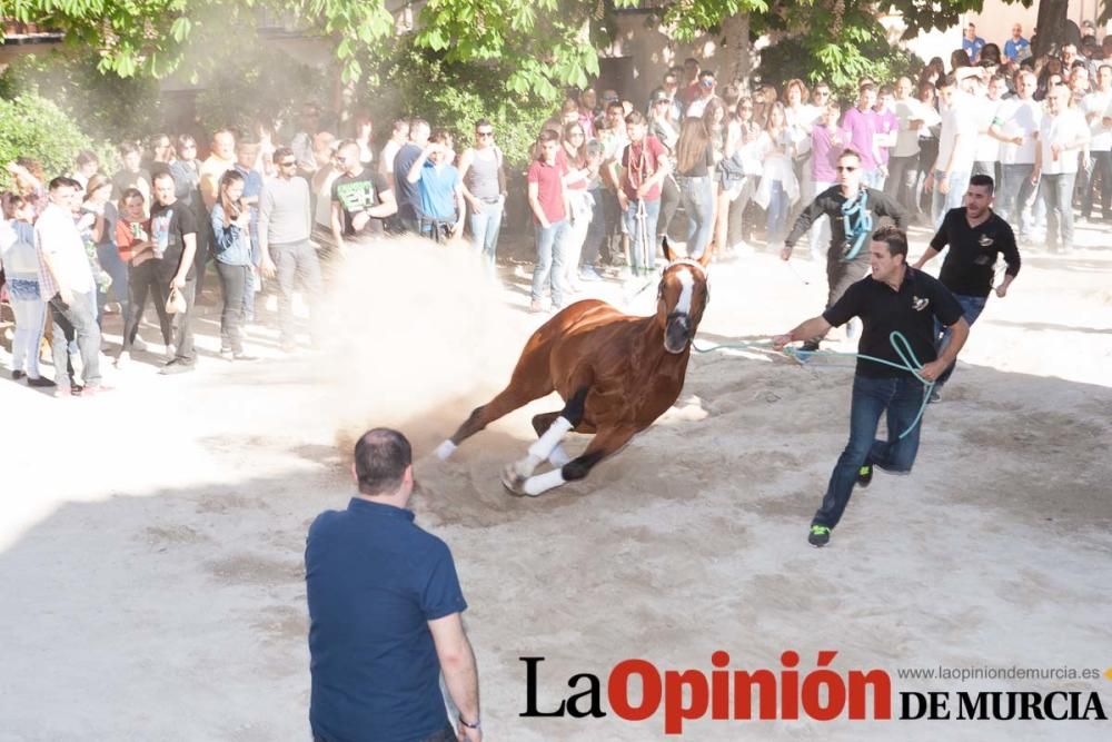 Día uno de mayo, entrada de caballos al Hoyo