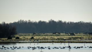 Los agricultores del Condado anuncian movilizaciones si las ayudas del Pacto de Doñana "no se aprueban ya"