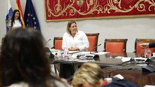 La Comisión General de Cabildos Insulares se reúne para abordar el decreto ley de recuperación de La Palma