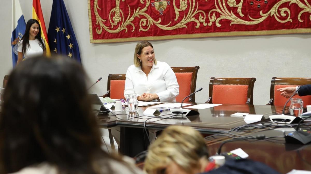 La Comisión General de Cabildos Insulares se reúne para abordar el decreto ley de recuperación de La Palma.