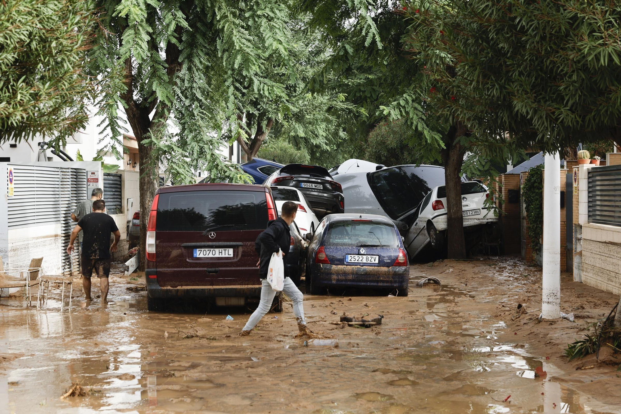 PICAÑA (VALENCIA), 30/10/2024.- Estado en el que se encuentran varios vehículos por las intensas lluvias de la fuerte dana que afecta especialmente el sur y el este de la península ibérica, este miércoles en Picaña (Valencia). EFE/Biel Aliño