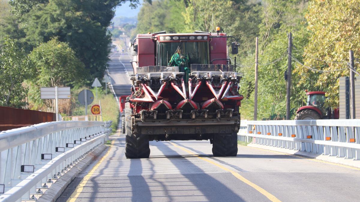 Una recol·lectora creua pel pont de Verges trepitjant el carril contrari per la falta d'espai