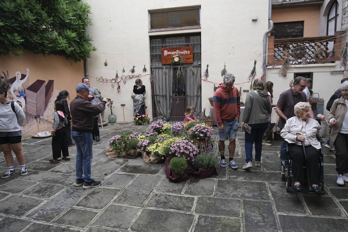 Les imatges de Santpedor en Flor Les imatges de Santpedor en Flor